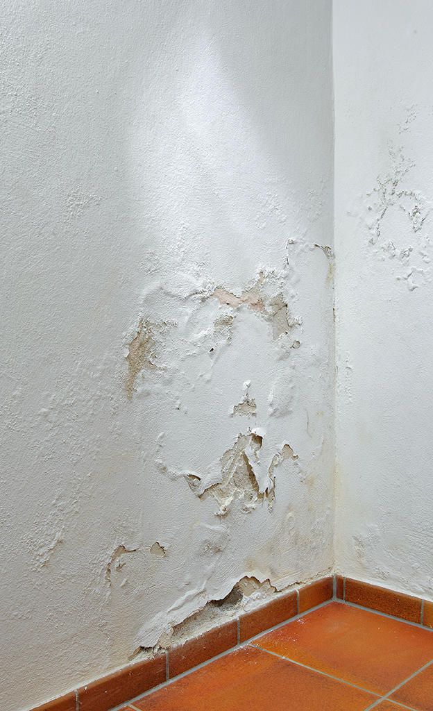 Internal Wall Damp Proofing service by waterproofpaintco
